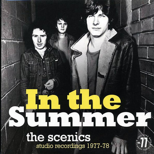 The Scenics - In The Summer: Studio Recordings 1977-78 (LP)