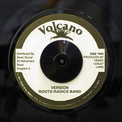 Wailing Souls - A Fool Will Fall  /  The Roots Radics - Version (7")