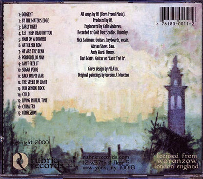 Bevis Frond - Valedictory Songs (CD)