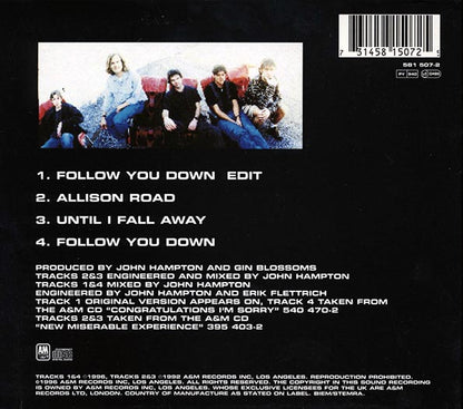 Gin Blossoms - Follow You Down (CD)