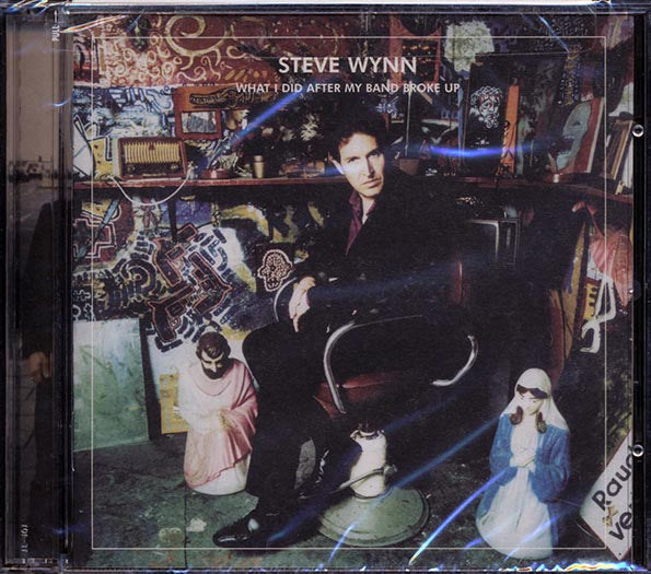 Steve Wynn - What I Did After My Band Broke Up: Best Of 1990-2004: Visitation Rights (CD)