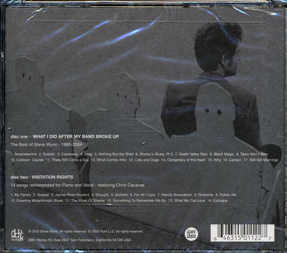 Steve Wynn - What I Did After My Band Broke Up: Best Of 1990-2004: Visitation Rights (CD)
