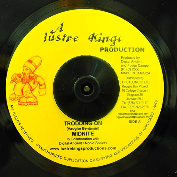 Midnite - Trodding On  /  Khari Kill - While I'm Living (7")