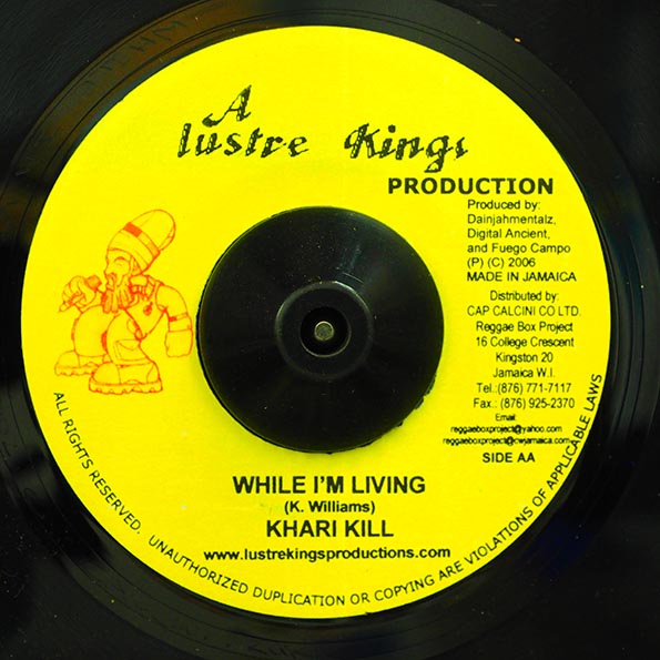Midnite - Trodding On  /  Khari Kill - While I'm Living (7")