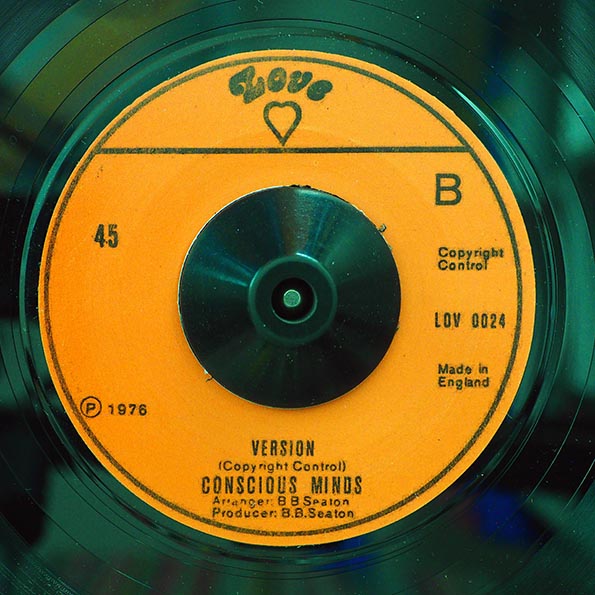 Bonnie Gayle - How Many Strongs  /  Version (7")