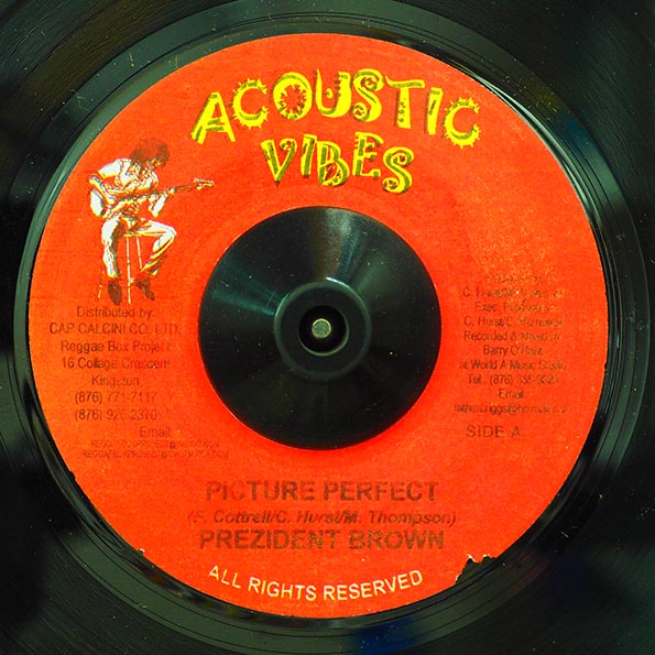 Prezident Brown - Picture Perfect  /  Version (7")