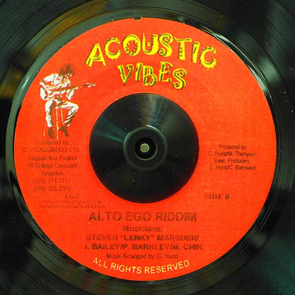 Prezident Brown - Picture Perfect  /  Version (7")