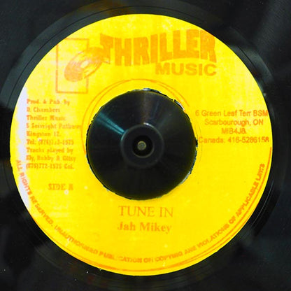 Jah Mikey - Tune In  /  Version (7")