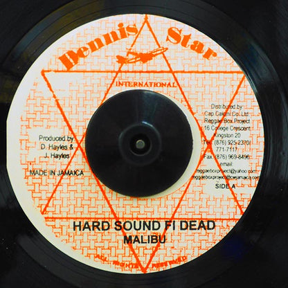 Malibu - Hard Sound Fi Dead  /  Teddy Irie - Run Come Sound Bwoy (7")
