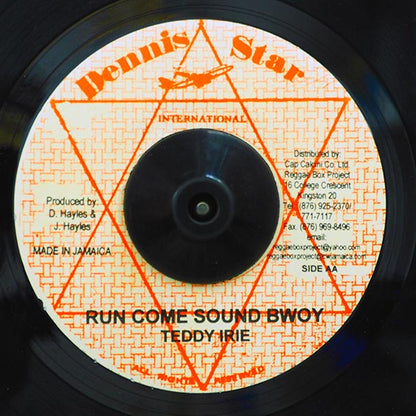 Malibu - Hard Sound Fi Dead  /  Teddy Irie - Run Come Sound Bwoy (7")