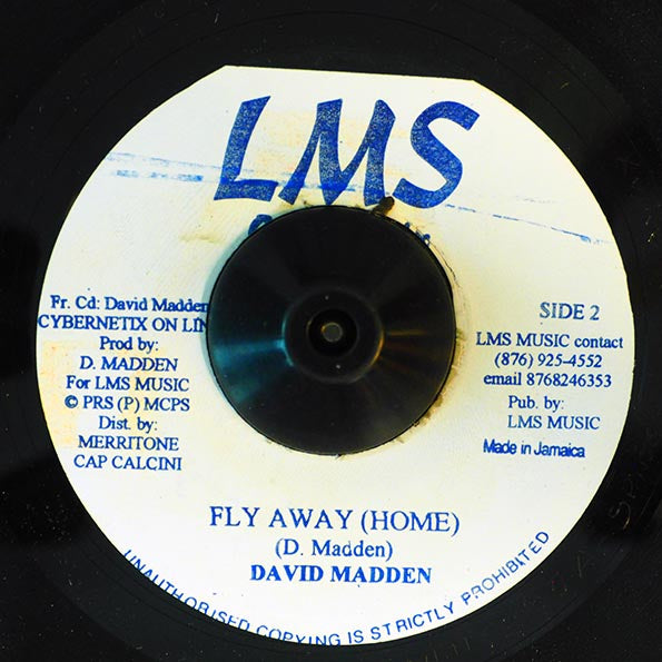 David Madden - Mystery Solver  /  David Madden - Fly Away Home (7")