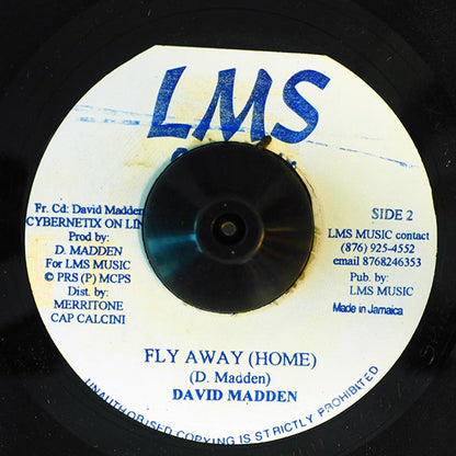 David Madden - Mystery Solver  /  David Madden - Fly Away Home (7")