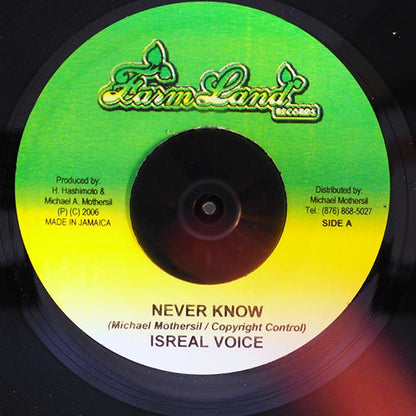 Israel Voice - Never Know  /  Version (7")