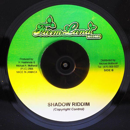 Israel Voice - Never Know  /  Version (7")