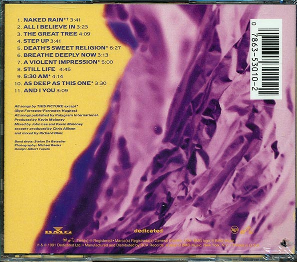 This Picture  - A Violent Impression (CD)