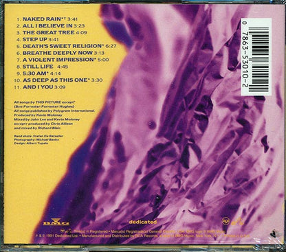 This Picture  - A Violent Impression (CD)