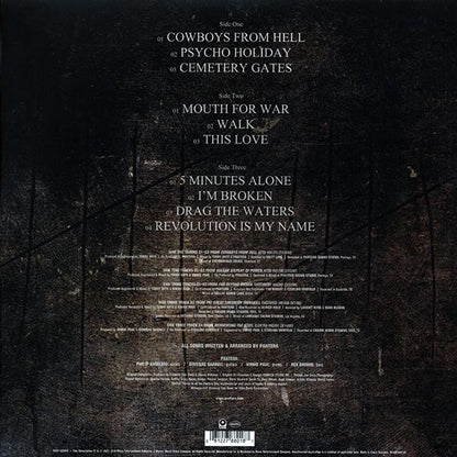 Pantera - 1990-2000: A Decade Of Domination (2xLP) (LP) - PureSound Records
