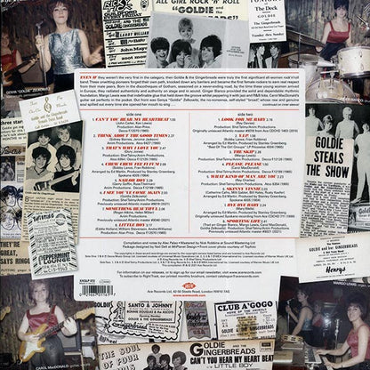 Goldie & The Gingerbreads - Thinking About The Goods Times 1964-1966 (LP) - PureSound Records