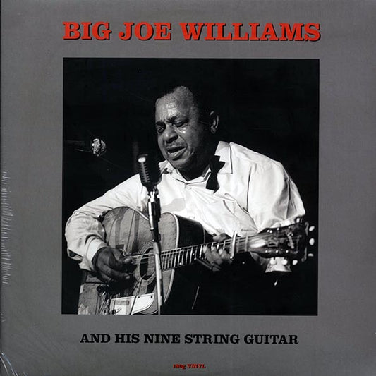 Big Joe Williams - Big Joe Williams And His Nine String Guitar (LP) - PureSound Records
