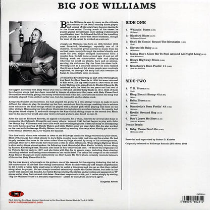Big Joe Williams - Big Joe Williams And His Nine String Guitar (LP) - PureSound Records