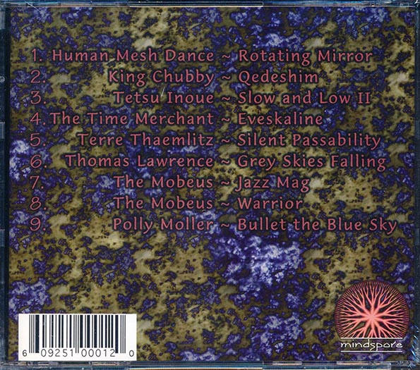 The Mobeus, King Chubby, The Time Merchant, Etc. - Distributed Shared Memory (CD)