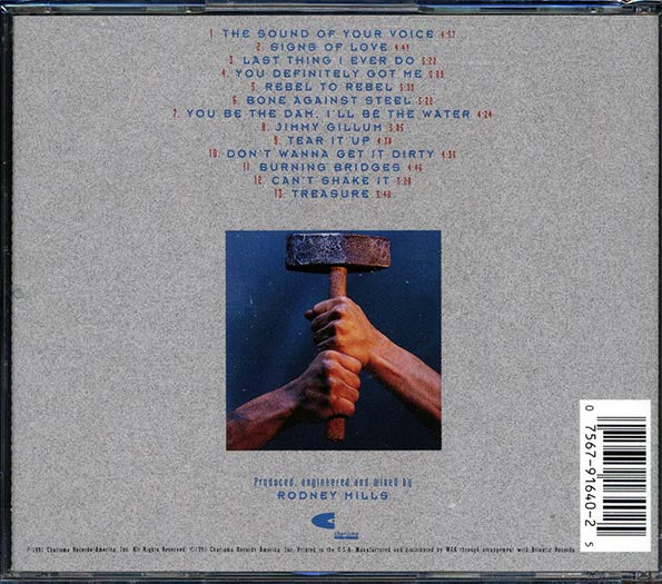 38 Special - Bone Against Steel (CD)