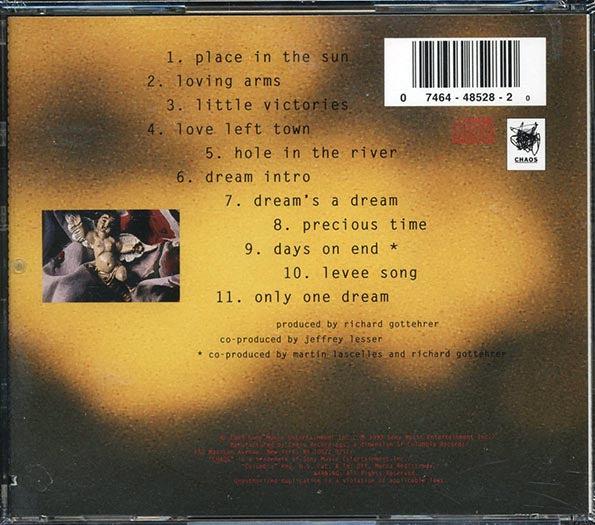 Darden Smith - Little Victories (CD)