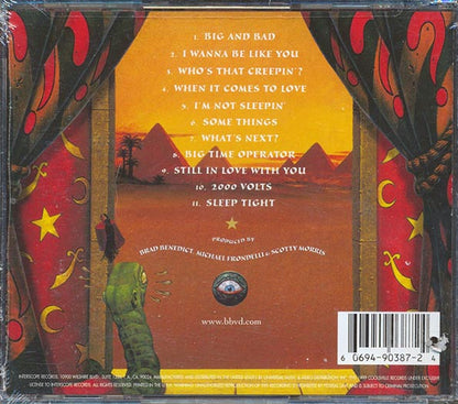 Big Bad Voodoo Daddy  - This Beautiful Life (CD)