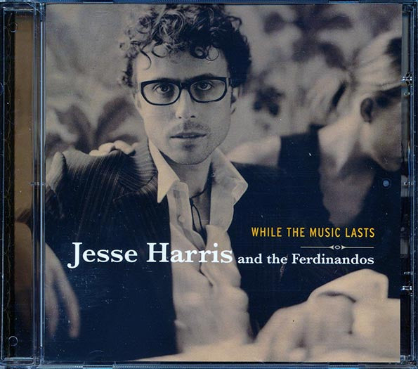Jesse Harris & The Ferdinandos - While The Music Lasts (CD)