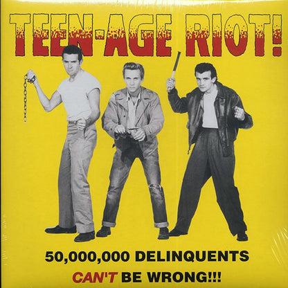 Portuguese Joe, Savoys, Reggie Perkins, TV Slim, Etc. - Teen-Age Riot! 50,000,000 Delinquints Can't Be Wrong! (LP) - PureSound Records