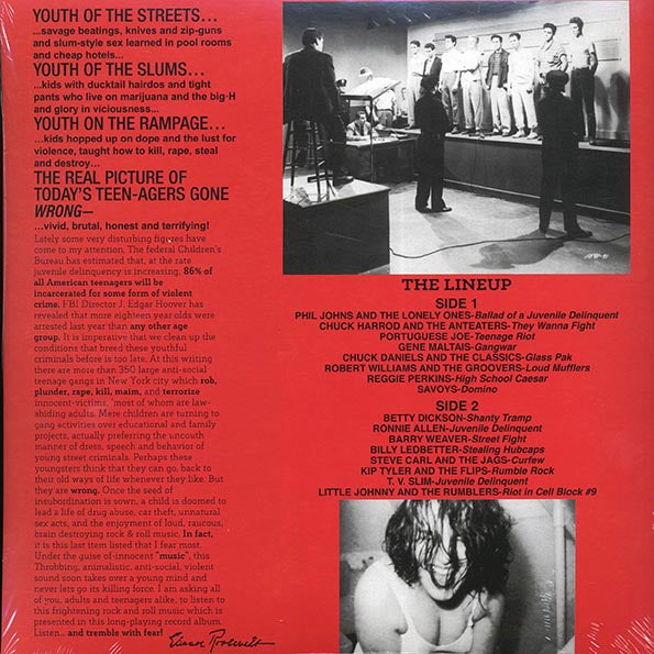 Portuguese Joe, Savoys, Reggie Perkins, TV Slim, Etc. - Teen-Age Riot! 50,000,000 Delinquints Can't Be Wrong! (LP) - PureSound Records