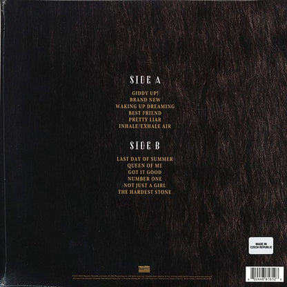 Shania Twain - Queen Of Me (LP)
