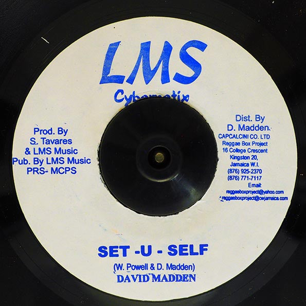 David Madden - Set U Self  /  David Madden - Setup (7")