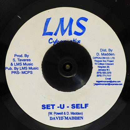 David Madden - Set U Self  /  David Madden - Setup (7")
