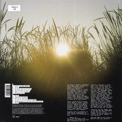 Snow Patrol - Final Straw (LP)