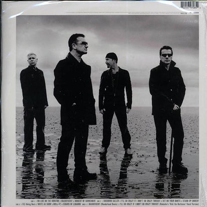 U2 - No Line On The Horizon (10th Anniv. Ed.) (2xLP) (180g) (LP)