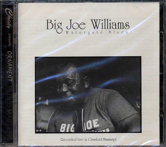 Big Joe Williams - Watergate Blues (CD)