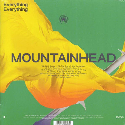 Everything Everything - Mountainhead (LP) - PureSound Records
