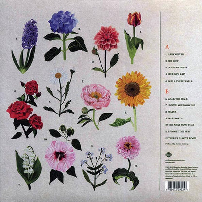 Caroline Spence - True North (LP) - PureSound Records