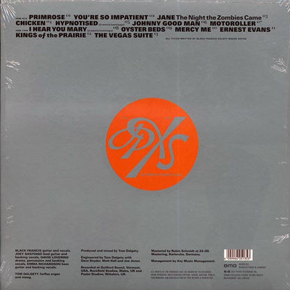 The Pixies - The Night The Zombies Came (LP)