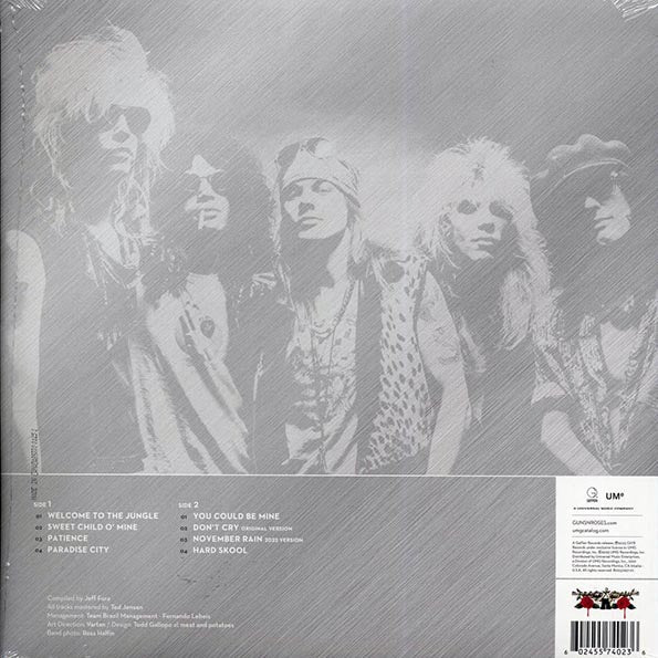 Guns N' Roses - Greatest Hits (ltd. ed.) (LP)