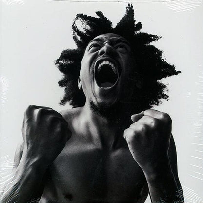 Bobby Sessions - Manifest (LP) - PureSound Records