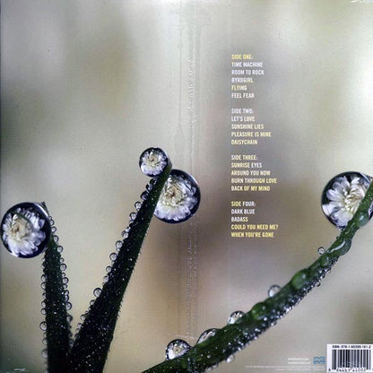 Matthew Sweet - Sunshine Lies (2xLP) (LP) - PureSound Records