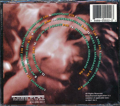 Big Fish Ensemble - Field Trip (CD)