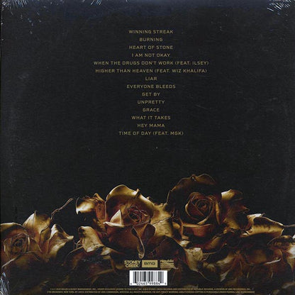 Jelly Roll - Beautifully Broken (LP) - PureSound Records
