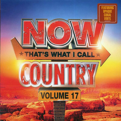 Chris Stapleton, Jordan Davis, Luke Combs, Morgan Wallen, Etc. - Now That's What I Call Country Volume 17 (LP) - PureSound Records