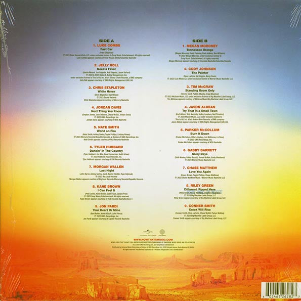 Chris Stapleton, Jordan Davis, Luke Combs, Morgan Wallen, Etc. - Now That's What I Call Country Volume 17 (LP) - PureSound Records