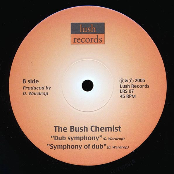 Kenny Knots, Bush Chemists - Up There;  Up There Dub  /  Bush Chemists - Dub Symphony;  Symphony Of Dub (10")