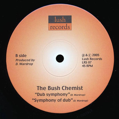 Kenny Knots, Bush Chemists - Up There;  Up There Dub  /  Bush Chemists - Dub Symphony;  Symphony Of Dub (10")