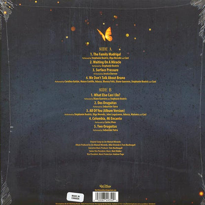 Various - Encanto: Original Songs By Lin-Manuel Miranda (LP)
